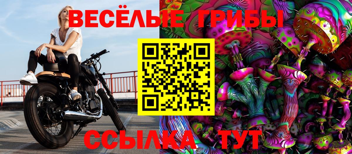 Псилоцибиновые грибы GOLDEN TEACHER  Вход с VPN  Балабаново  Галлюциногенные грибы ЛСД 